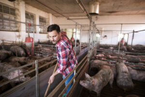 produtor limpando a granja, representando a biosseguridade na suinocultura